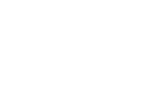 client-logo-spurs
